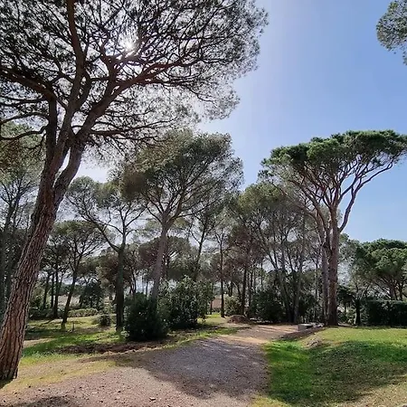 アパート Chez K&d Studioterra Saint-Raphaël